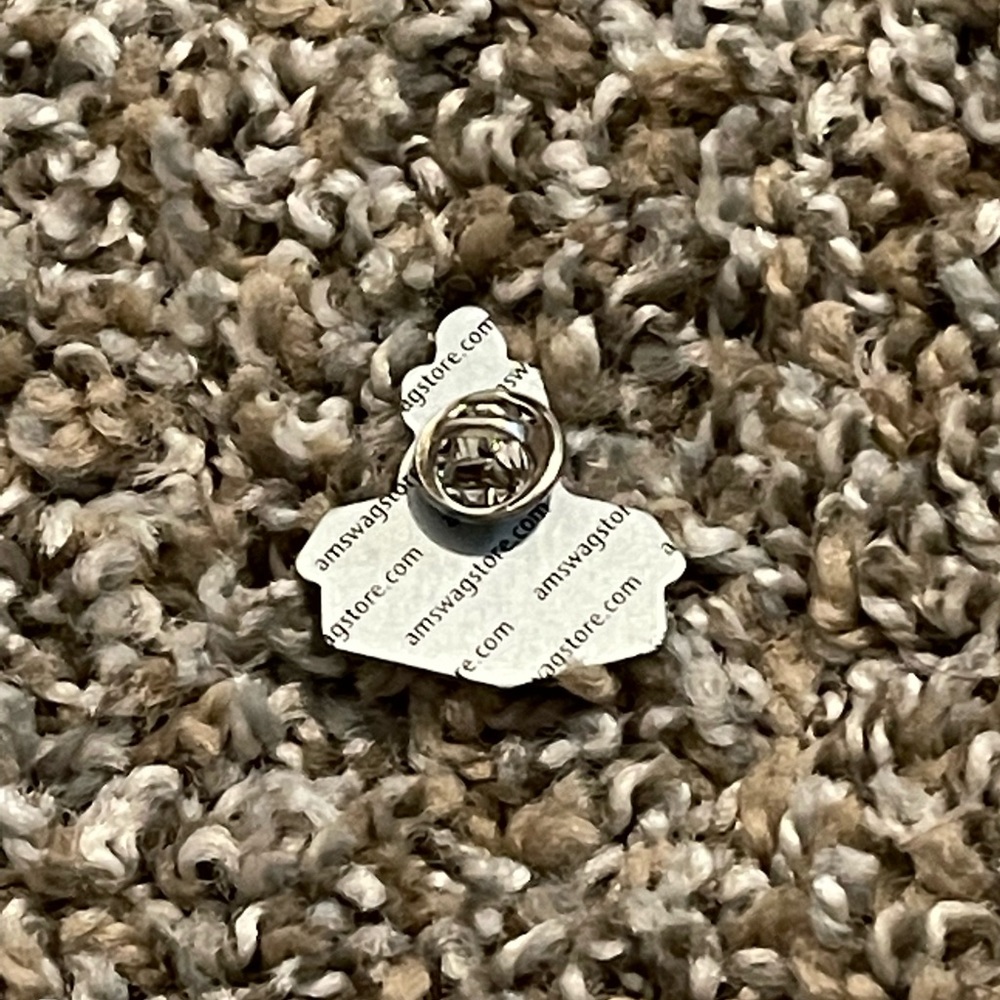 Amazon pin - Picture 2 of 2